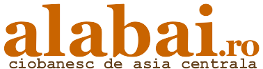 alabai, ciobanesc de asia centrala